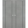 thumbnail image 1 of Sliding French Double Pocket Doors 64 x 84 inches | Planum 0016 Concrete with Frosted Glass | Kit Trims Rail Hardware | Solid Wood Interior Bedroom Sturdy Doors, 1 of 6