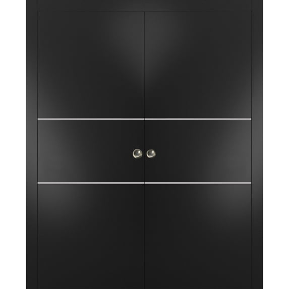 Sliding French Double Pocket Doors 64 x 96 inches | Planum 0110 Matte Black with Frosted Glass | Kit Trims Rail Hardware | Solid Wood Interior Bedroom Sturdy Doors
