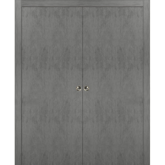 Sliding French Double Pocket Doors 72 x 80 inches | Planum 0010 Concrete | Kit Trims Rail Hardware | Solid Wood Interior Bedroom Sturdy Doors