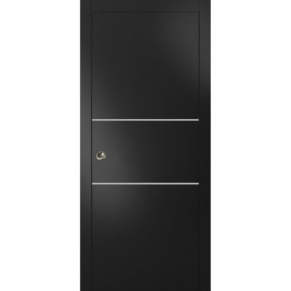 Sliding French Pocket Door 24 x 96 inches with | Planum 0110 Matte Black with Frosted Glass | Kit Trims Rail Hardware | Solid Wood Interior Bedroom Sturdy Doors