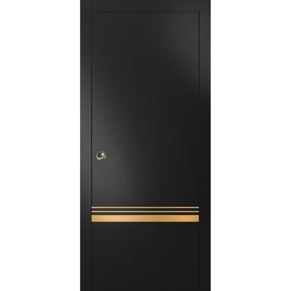 Sliding French Pocket Door 24 x 96 inches with | Planum 2010 Matte Black with Frosted Glass | Kit Trims Rail Hardware | Solid Wood Interior Bedroom Sturdy Doors