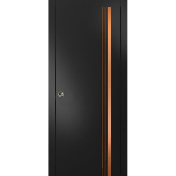 Sliding French Pocket Door 28 x 96 inches with | Planum 1010 Matte Black with Frosted Glass | Kit Trims Rail Hardware | Solid Wood Interior Bedroom Sturdy Doors