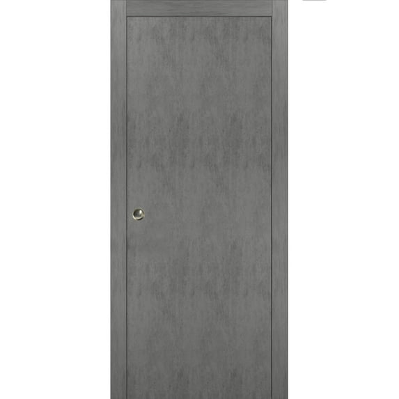 Sliding French Pocket Door 30 x 80 inches with | Planum 0010 Concrete | Kit Trims Rail Hardware | Solid Wood Interior Bedroom Sturdy Doors