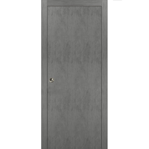 Sliding French Pocket Door 30 x 96 inches with | Planum 0010 Concrete | Kit Trims Rail Hardware | Solid Wood Interior Bedroom Sturdy Doors