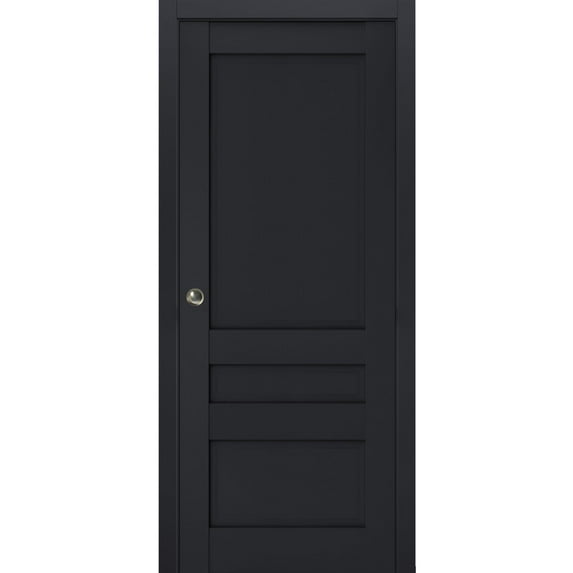 Sliding French Pocket Door | Veregio 7411 Antracite | Kit Trims Rail Hardware | Solid Wood Interior Bedroom Sturdy Doors-28" x 96"