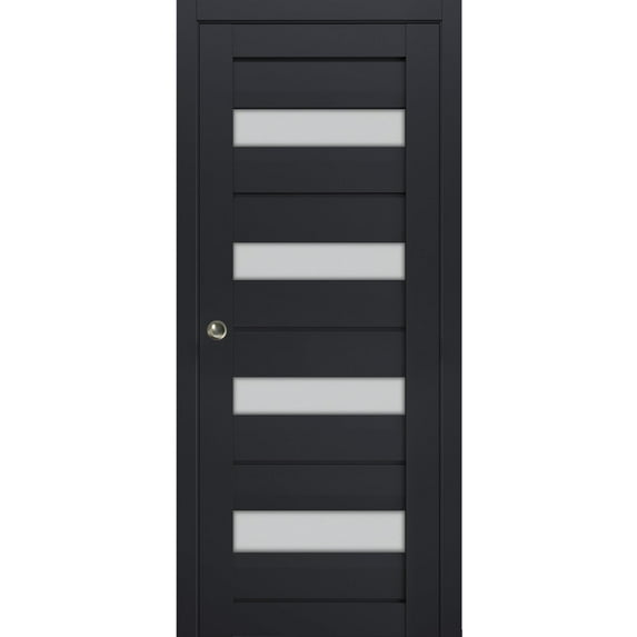 Sliding French Pocket Door with Frosted Glass | Veregio 7455 Antracite | Kit Trims Rail Hardware | Solid Wood Interior Bedroom Sturdy Doors-24" x 80"