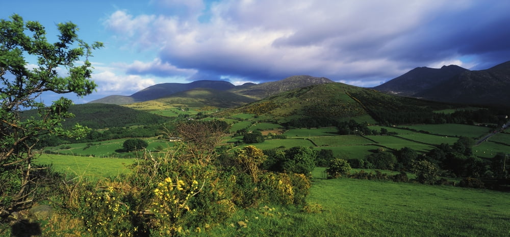 Slieve Bearnagh Mourne Mountains Co Down Ireland Longview Of Meadow Towards Mountains From Trassey Road Canvas Art - The Irish Image Collection Design Pics (44 x 20)