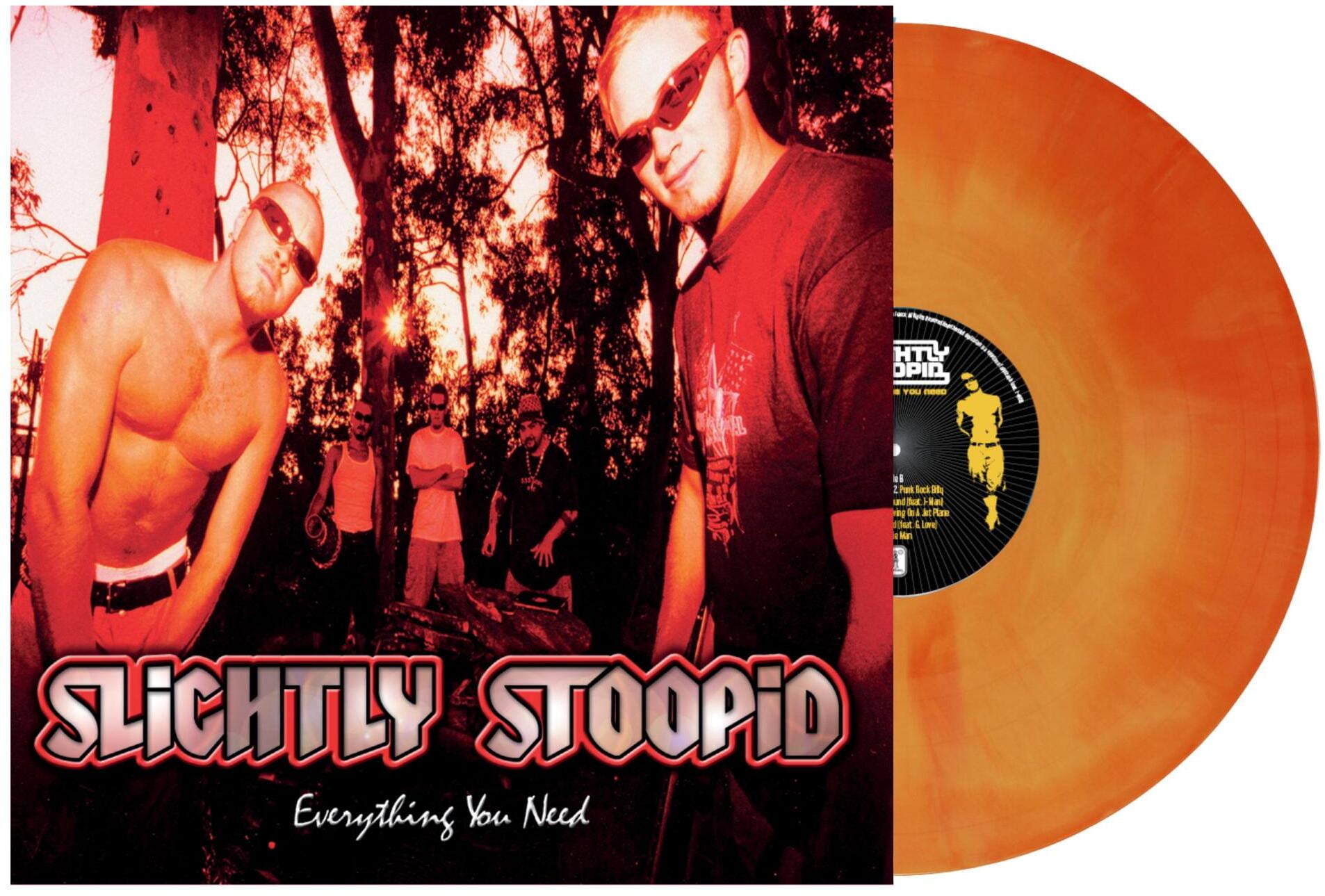 Slightly Stoopid - Everything You Need - Music & Performance - Vinyl