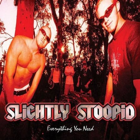 Slightly Stoopid - Everything You Need - Vinyl