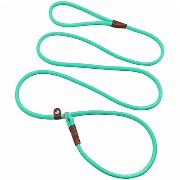 Slip Lead Control Leash for Dogs No Pull, 13+ Colors Classic Dog Lead 7 FT Pet Slip Leash, 1/4 Rope Leashes for Small Medium Animals (7ft*1/4", Turquoise)