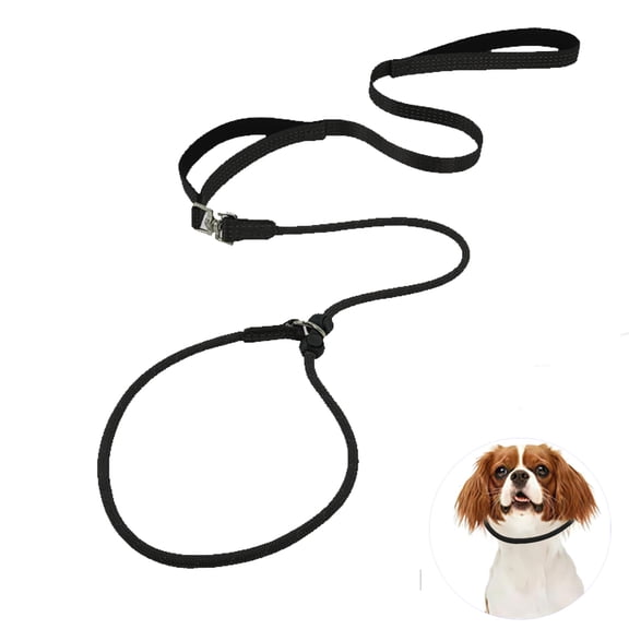 Slip Lead Dog Leash with Double Handles | Reflective Dog Training Lead with 360° Swivel Anti-Tangle | Heavy-Duty Leash and Collar for Large Medium and Small Dogs No-Pull Walking