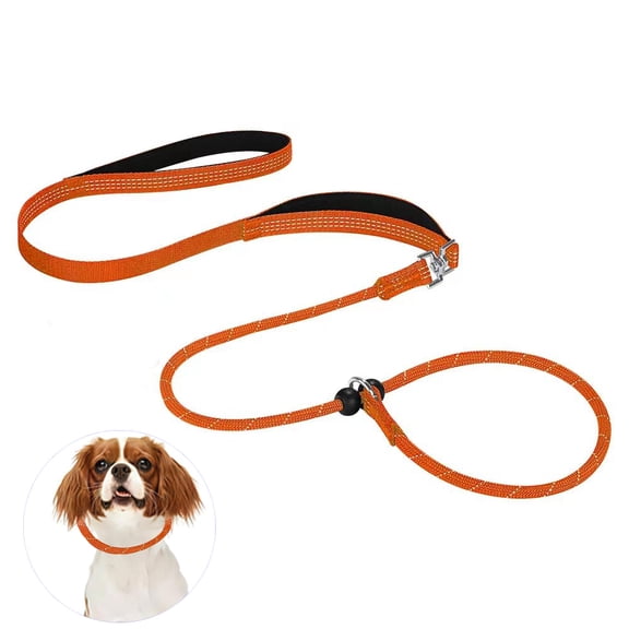 Slip Lead Dog Leash with Double Handles | Reflective Dog Training Lead with 360° Swivel Anti-Tangle | Heavy-Duty Leash and Collar for Large Medium and Small Dogs No-Pull Walking