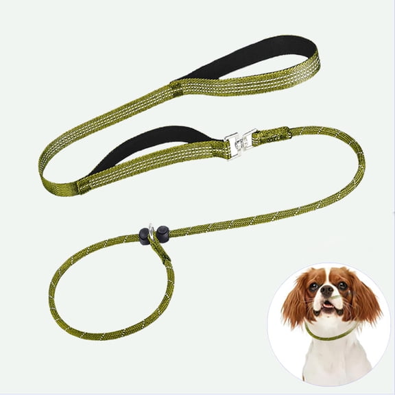Slip Lead Dog Leash with Double Handles | Reflective Dog Training Lead with 360° Swivel Anti-Tangle | Heavy-Duty Leash and Collar for Large Medium and Small Dogs No-Pull Walking