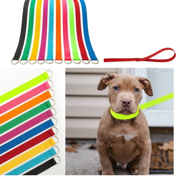 Slip Lead Dog Leash, Universal Slip Leash, O Ring, 10 Pk Colorful