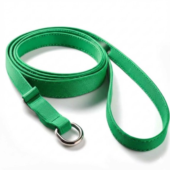 Four Flags Over Aspen 48-Inch Polypropylene Webbing Dog Slip Leash