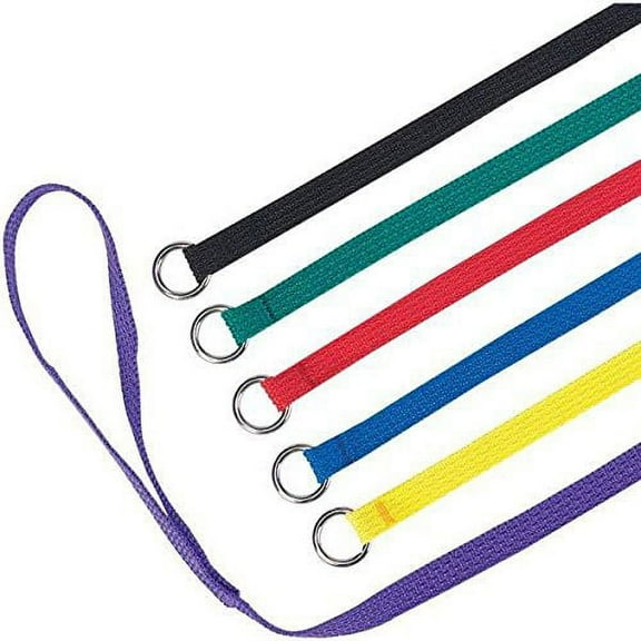 Slip Style Kennel Dog Lead Bulk Packs Wholesale Dogs Leads Vet Groomer Shelter(4 Foot x 1/2 inch 12 Lead Bulk Pack)