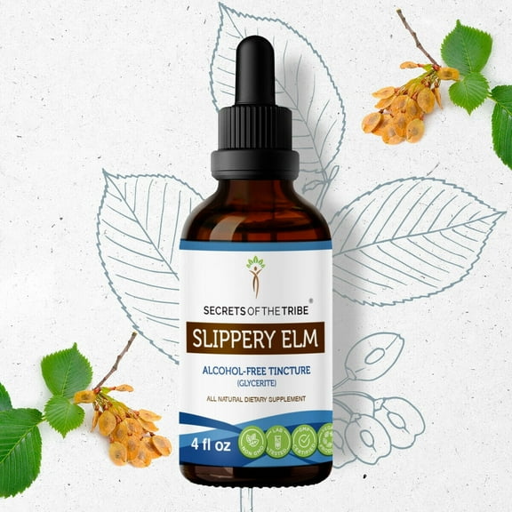 Secrets Of The Tribe Slippery Elm Tincture Dietary Supplement, Natural Herbal Extract for Digestive and Throat Support, Slippery Elm (Ulmus rubra) Dried Bark, Alcohol-Free Extract, Drops 4 oz