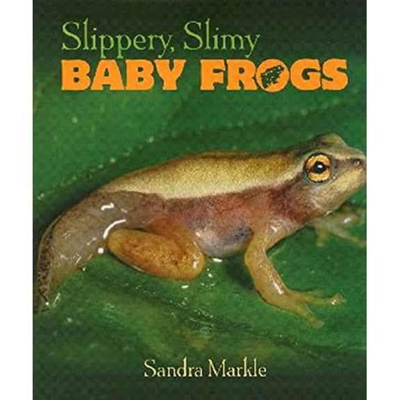 Pre-Owned Slippery, Slimy Baby Frogs (Hardcover) by Sandra Markle