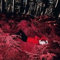thumbnail image 1 of Slipstream (Vinyl), 1 of 1