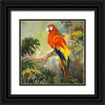 thumbnail image 1 of Slivka, Jane 12x12 Black Ornate Wood Framed with Double Matting Museum Art Print Titled - Parrots at Bay I, 1 of 4