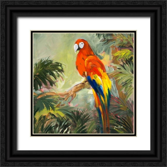 Slivka, Jane 12x12 Black Ornate Wood Framed with Double Matting Museum Art Print Titled - Parrots at Bay I