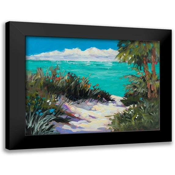 Slivka, Jane 24x19 Black Modern Framed Museum Art Print Titled - Tarpon Beach
