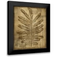 thumbnail image 1 of Slocum, Nancy 12x14 Black Modern Framed Museum Art Print Titled - Sepia Drenched Fern I, 1 of 5