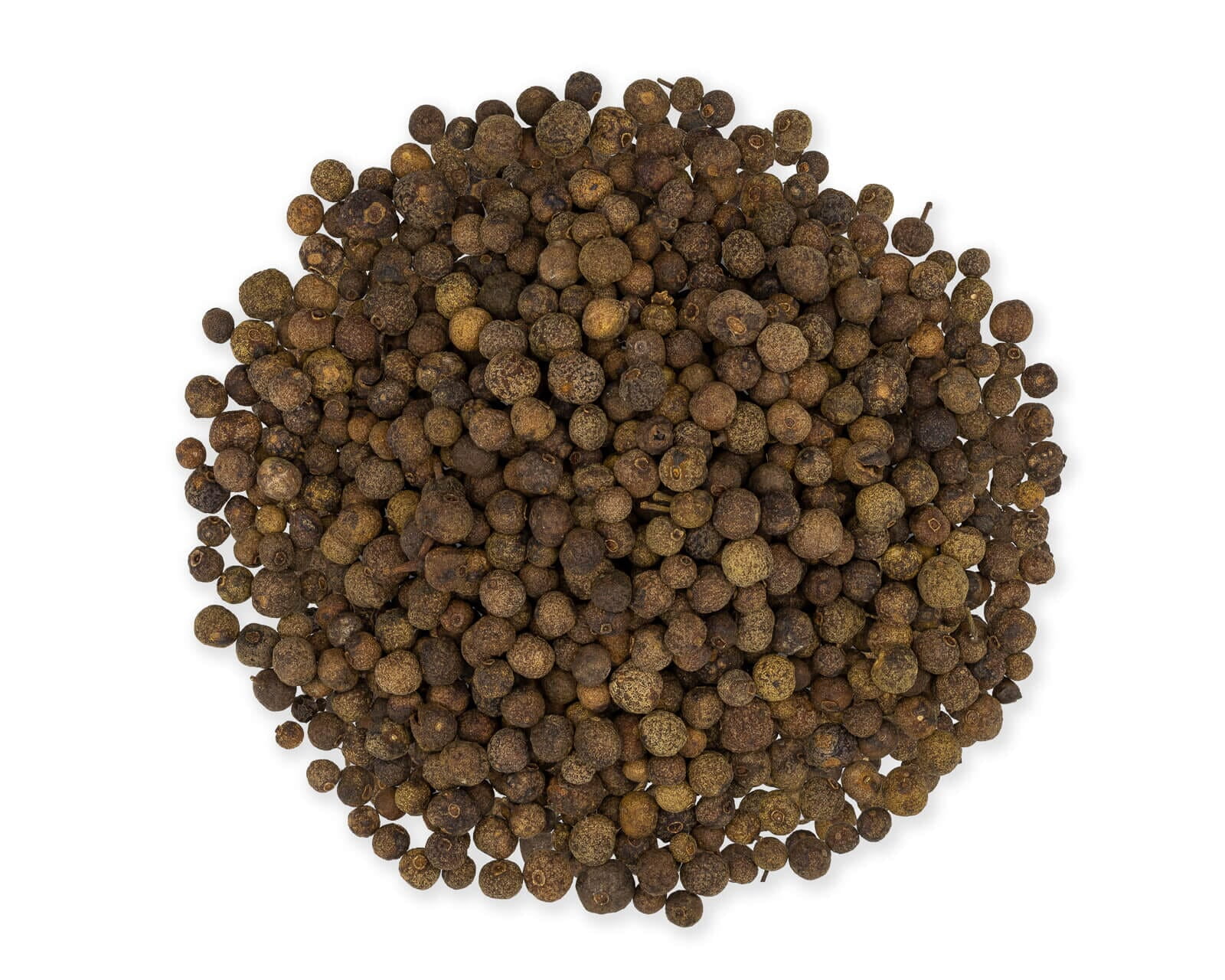 Slofoodgroup Whole Allspice Pimento Berries, 5 lb