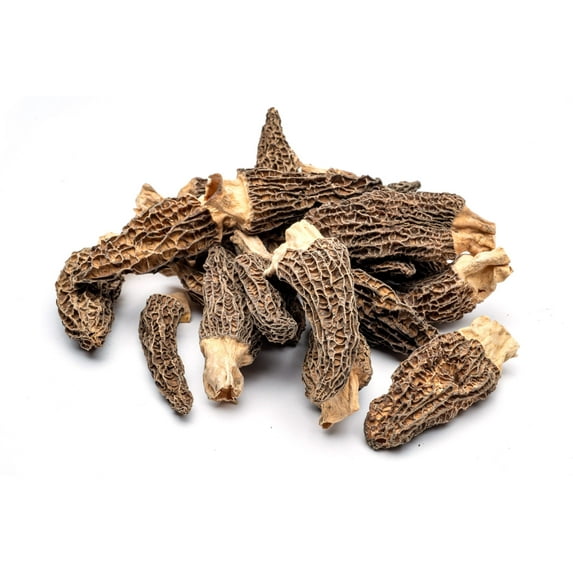 Slofoodgroup Whole Dried Morel Mushrooms | Wild Gourmet Morchellas Conica| Umami Flavor - 4oz