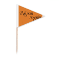 thumbnail image 1 of Slogan No Pain No Gain Art Deco  Fashion Toothpick Triangle Cupcake Toppers Flag, 1 of 3