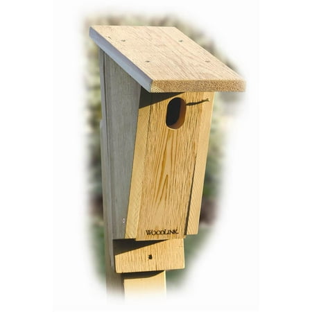 Sloped Front Bluebird House