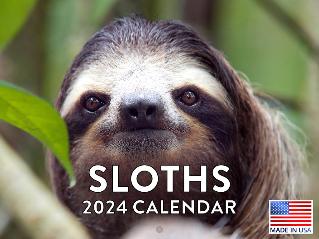 Sloth Calender Gifts 2025 Wall Calendar Sloth Calendar 2025