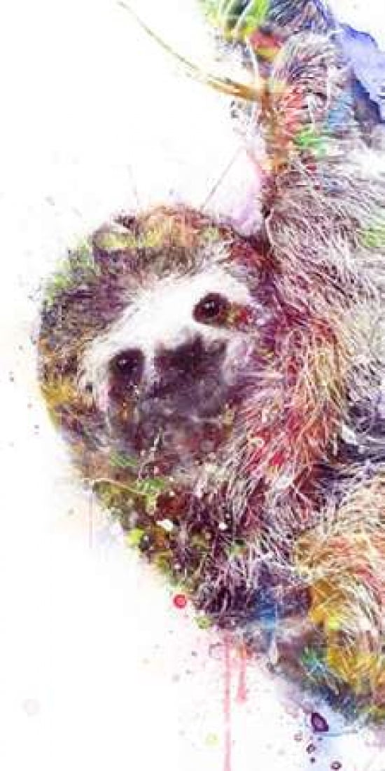 Sloth Canvas Art - VeeBee (10 x 20)