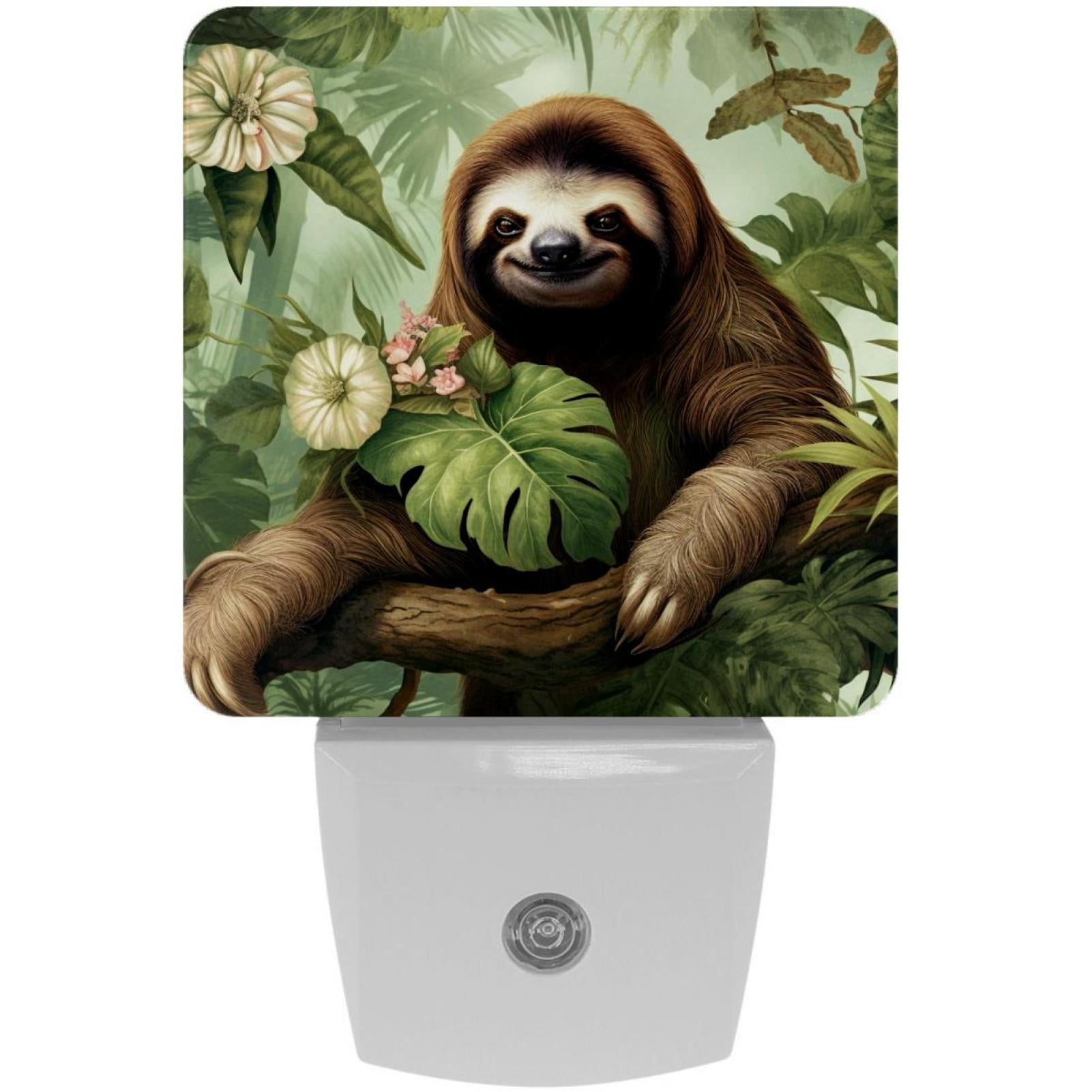 Sloth LED Square Night Lights - Modern and Versatile Plug-in Lighting ...