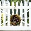 Sloth Shaped 2D Wooden Forest Garland Sign, Sturdy Solid Wood Material, Easy Hang Pre Assembled Design for Nursery, Living Room, Wall, Door, Shelf and Nature Lover Gift Decoration