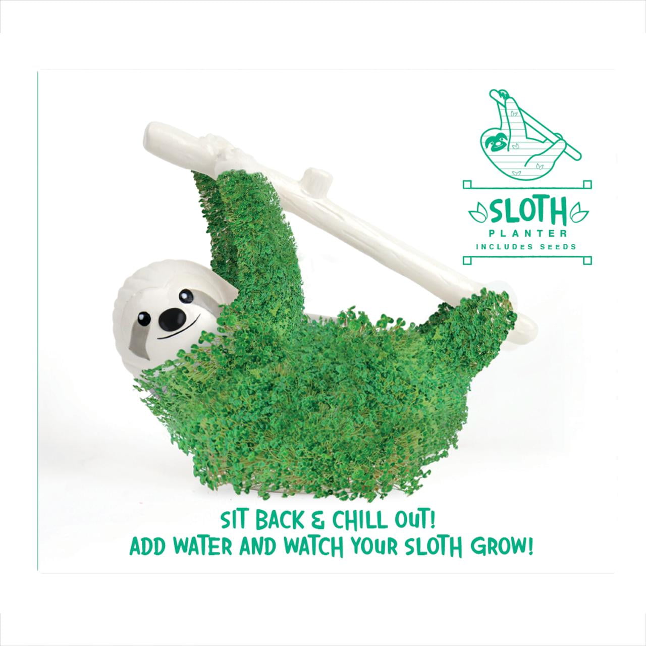 Sloth Shaped Chia Planter and Seeds - Desktop Sprouting Chia Animal - Fun Grow Kit Gift Idea