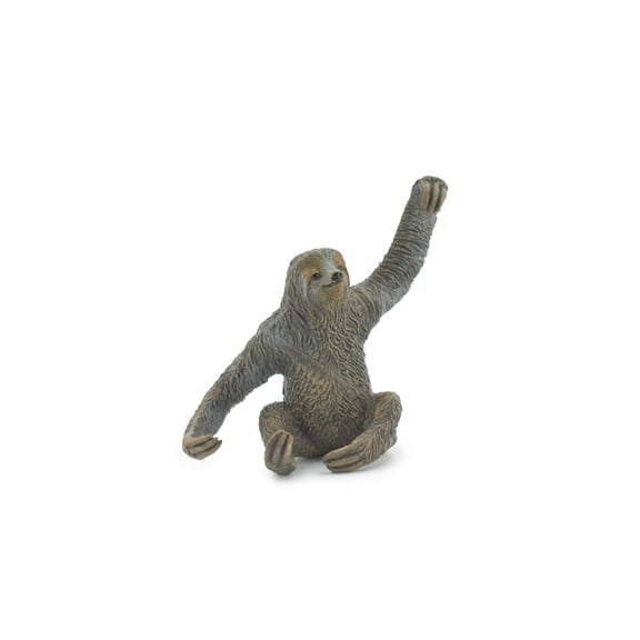 Sloth, Three Toed, Museum Quality, Hand Painted, Rubber Primate, Realistic Toy Figure, Model, Replica, Kids, Educational, Gift, 4" CH475 BB153