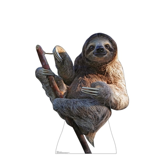 Sloth