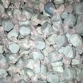 thumbnail image 1 of Slothrust - Everyone Else - Music & Performance - Vinyl, 1 of 1