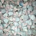 thumbnail image 1 of Slothrust - Everyone Else - Music & Performance - CD, 1 of 1