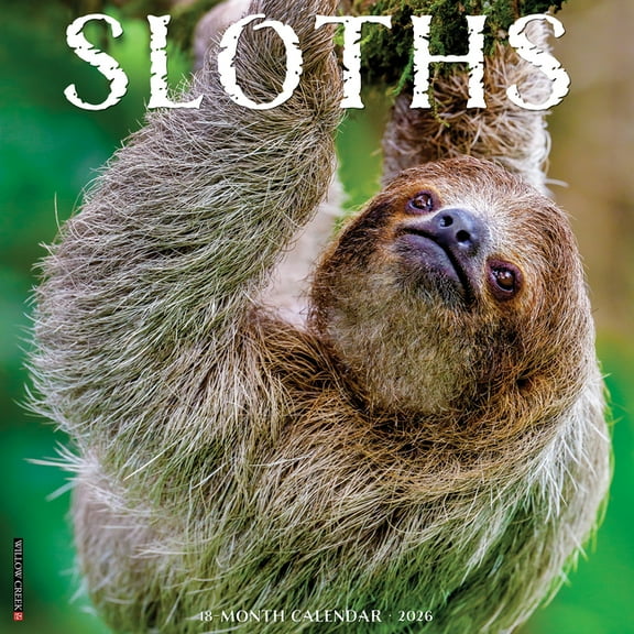 Sloths 2026 Wall Calendar, (Paperback)