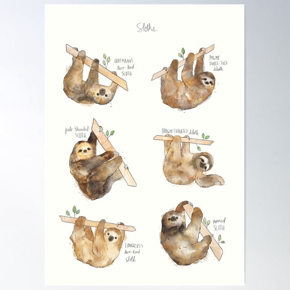 Sloths Poster Wall Art Modern Wall Decor For Living Room Bedroom