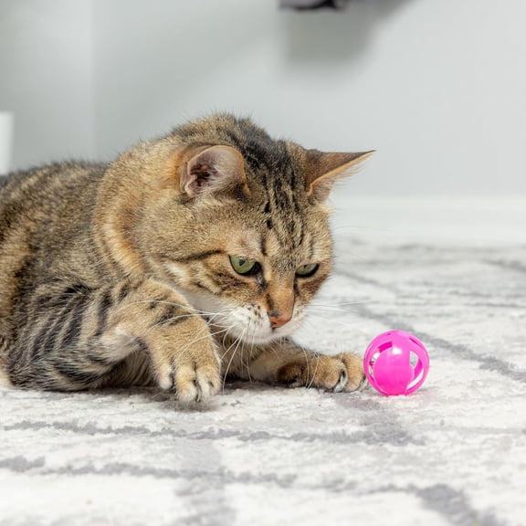 Slotted Balls Cat Toy - Interactive Cat Toys for Indoor Cats to Chase, Hunt and Stimulate - Jingle Bell Inside for Sound When Batted Around - Safe and Non-Toxic - 1.5" Assorted 4-Pack