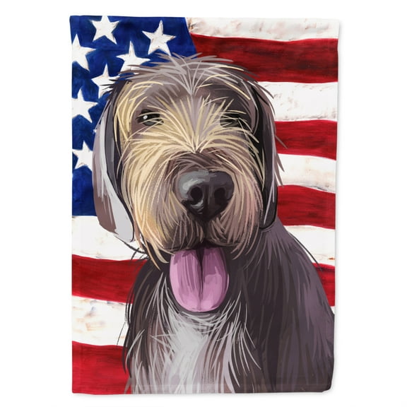 Slovak Rough-haired Pointer American Flag Flag Canvas House Size