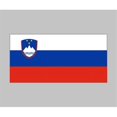 thumbnail image 1 of Slovenia Flag, 1 of 1
