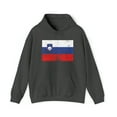 thumbnail image 1 of Slovenia Slovenian Flag Pride Hoodie, Gifts, Hooded Sweatshirt, 1 of 4