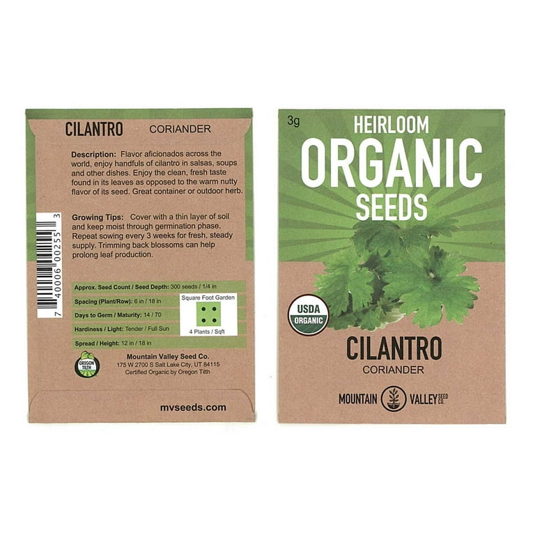 Slow Bolt Cilantro Herb Garden Seeds - 3 Gram Packet - Non-GMO, Heirloom, Organic - Herbal Gardening & Microgreens Seeds (Coriander) Slow Bolt Cilantro Herb Garden Seeds - 3 Gram Packet - Non-GMO, Heirloom, Organic - Herbal Gardening & Microgreens Seeds (Coriander)