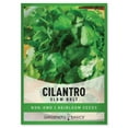 thumbnail image 1 of Slow Bolt Cilantro Seeds, 1 of 6