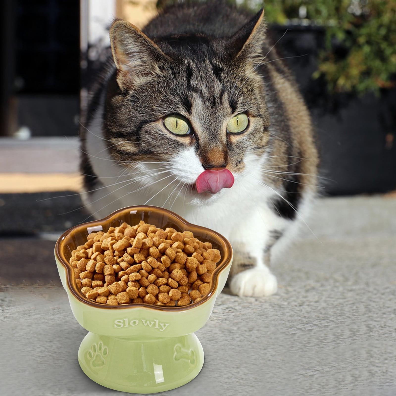 Slow Cat Feeder Cat Accessories,Ceramic Cat Food Bowls for Indoor Cats,Raised Pet Bowl Basic Dog Bowls,Slow Cat Feeder Bowl Kitty Bowls