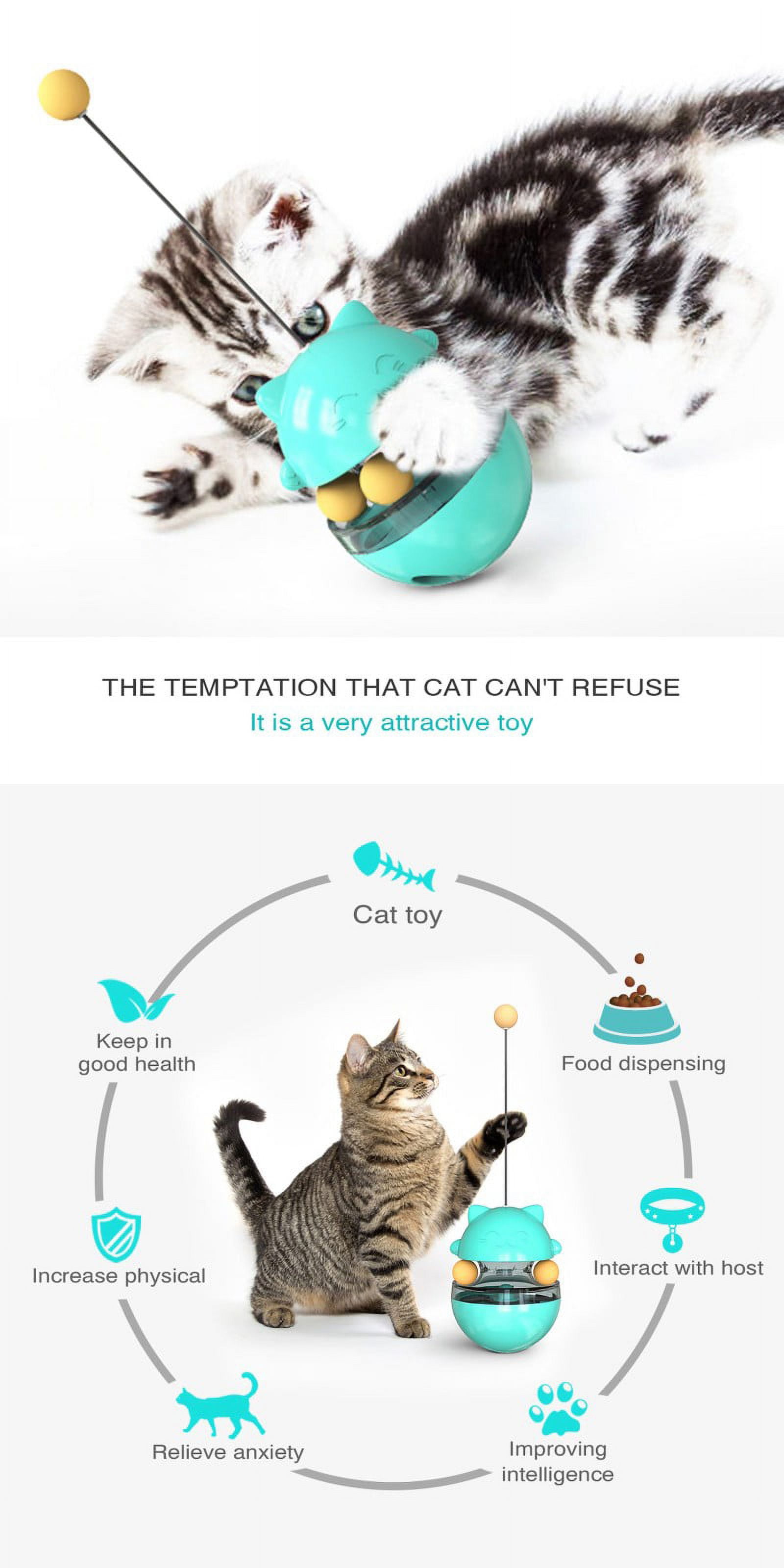 Slow Cat Feeders for Indoor Cats Animal Feed Sure Pet Feeder Water with